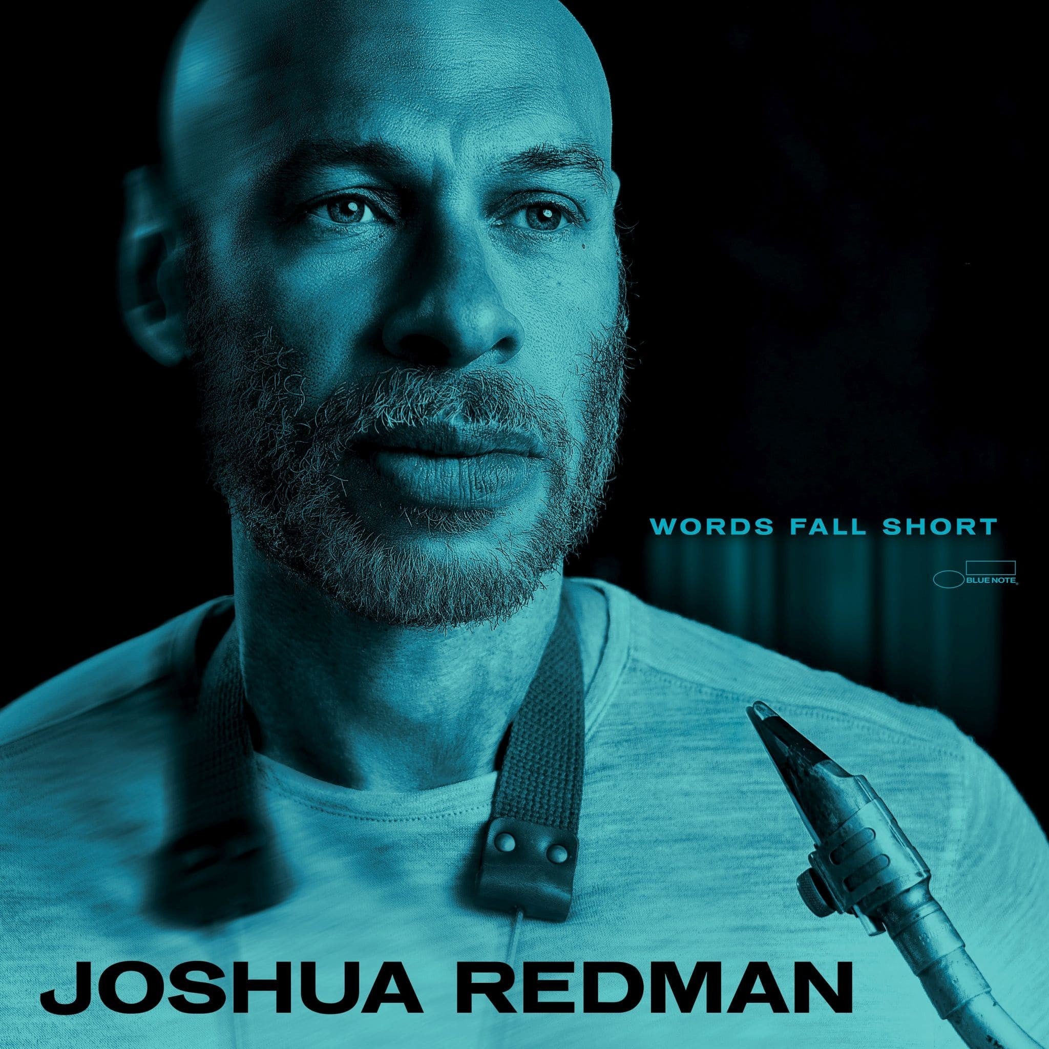 Joshua Redman Words Fall Short Exclusive Col. LP 407109