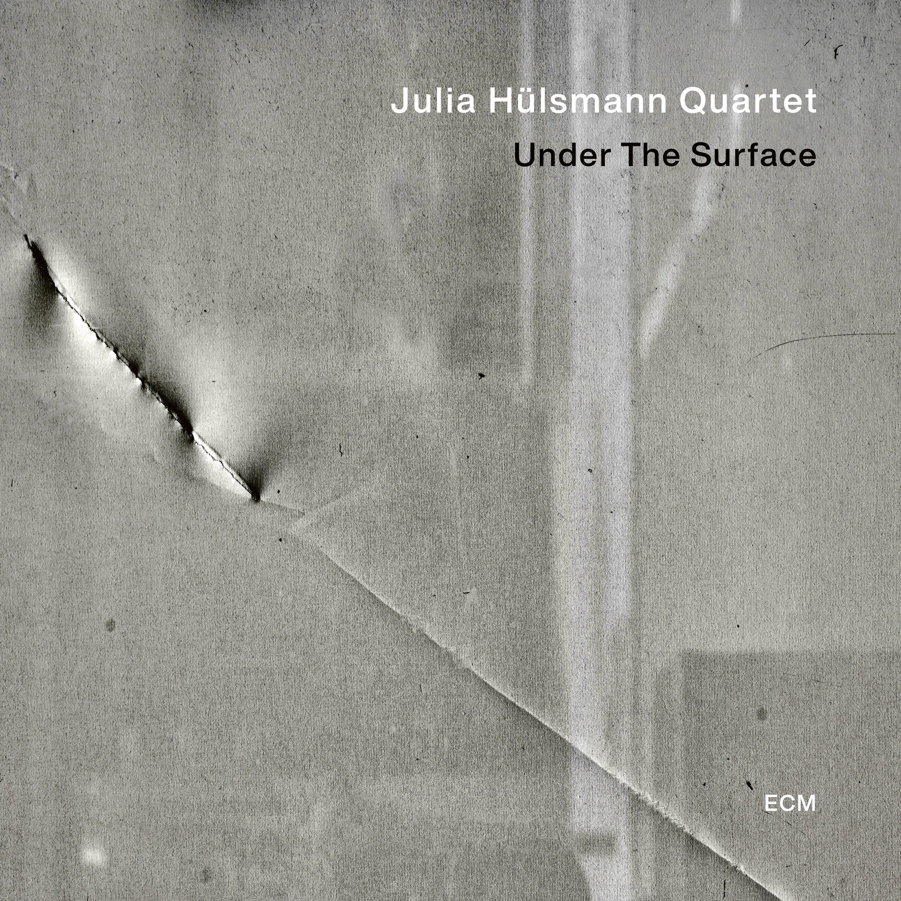 Julia Hülsmann Under The Surface Vinyl 399025